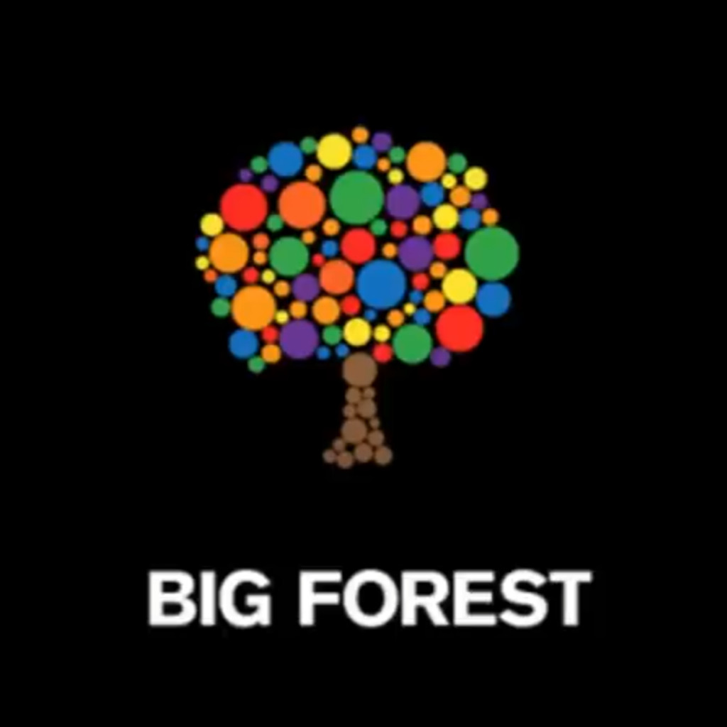 Big Forest